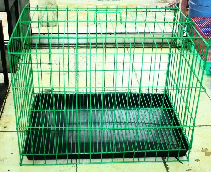 For Sale VivariumEnclosureAquariumCages For SaleJava Cebu